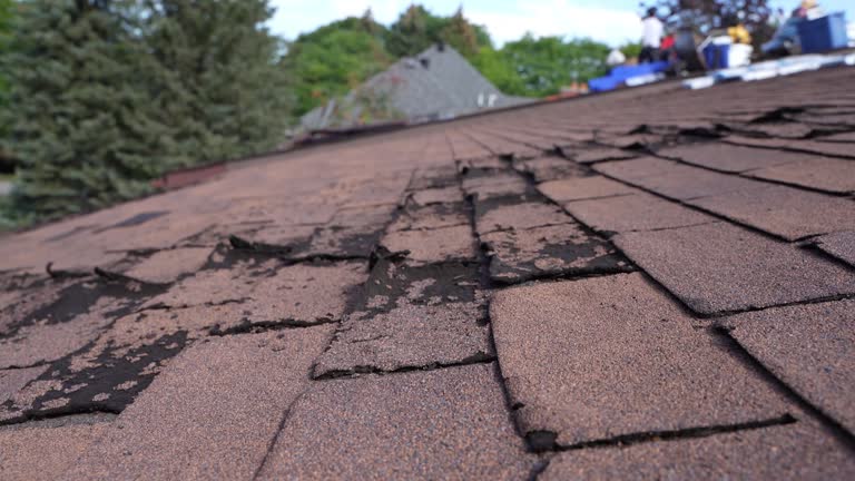 Best 4 Ply Roofing  in Schwenksville, PA
